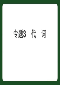 中考英语专题3-代词复习课件-PPT精品文档