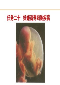 妊娠滋养细胞疾病38页PPT