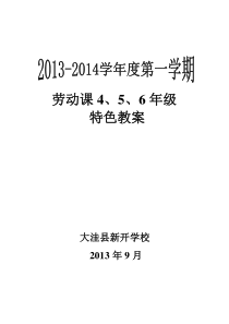 劳技特色教案456年