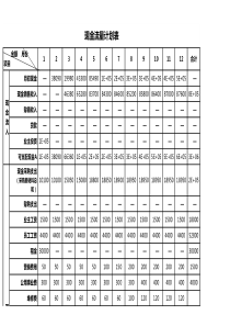 现金流量计划表填写实例-