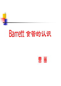 Barretts食管