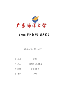 信息技术在企业管理中的应用(MIS)