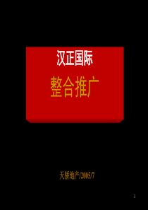 汉正国际整合推广方案