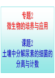 人教版生物必修讲义土壤中分解尿素的细菌的分离与计数(高考总复习)