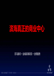 江苏盐城滨海商业项目定位策划提报方案_80