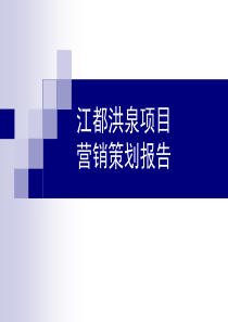 江都洪泉项目策划报告最终稿