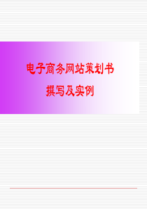 电子商务网站策划书的撰写示例