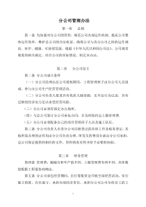 分公司管理办法