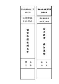 建筑工程资料档案盒侧面标签-(3)