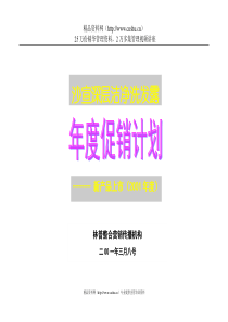 沙宣深层洁净洗发露上市策划方案(1)