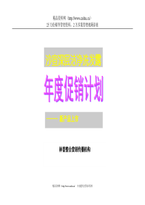 沙宣深层洁净洗发露上市策划方案