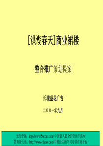 洪湖春天商业裙楼整合推广提案