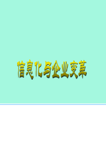 信息化与企业变革_ppt