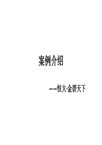 恒大地产金碧天下系列产品案例介绍_12页