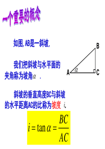 锐角三角函数的应用(3)