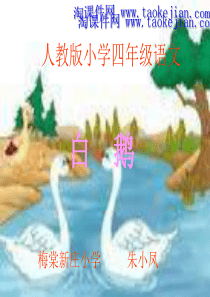 《白鹅》PPT课件_(3)_-_人教新课标小学语文四年级上册