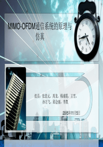 MIMO-OFDM系统报告