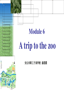 Module6 A trip to the zoo复习课___翁莲霞