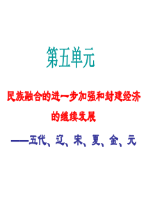 民族融合的进一步加强和封建经济 的继续发展