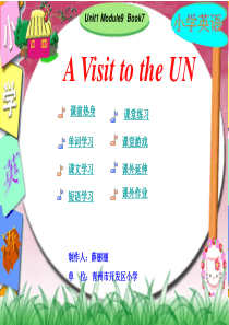 A_Visit_to_the_UN