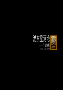 房地产业-浦东星河湾产品解析（PPT53页）