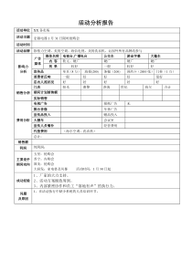 活动分析报告