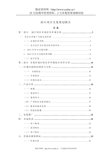 润丰项目全程策划报告