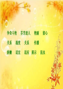 【精选】花钟教学课件