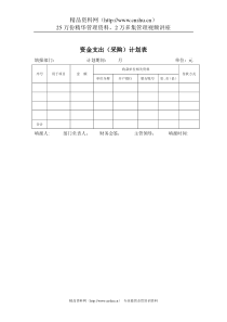 IT行业-资金支出（采购）计划表