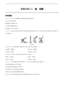 2020中考化学总复习练习(2019新题)：专题训练(08)-盐-化肥