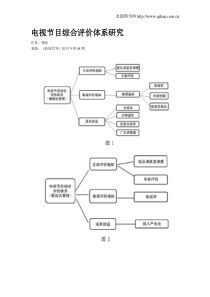 电视节目综合评价体系研究