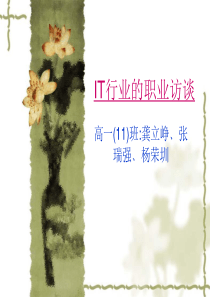 IT行业的职业访谈