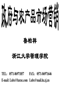 深圳东部假日海景家园-国际健康养生园策划方案(1)