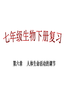 七年级下册生物第六章人体生命活动的调节复习课件课件