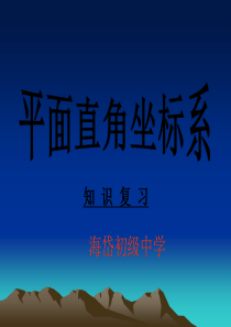 平面直角坐标系复习(公开课)