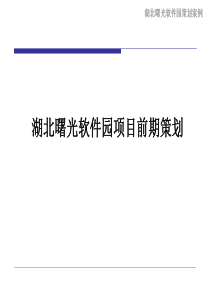 湖北曙光软件园策划案例