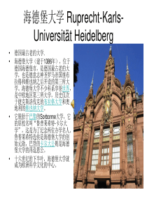 德国的大学