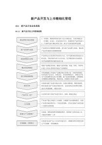 新产品开发与上市精细化管理