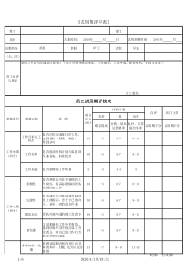 新员工试用期考核表