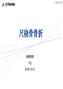 尺桡骨骨折诊治原则(YQ)