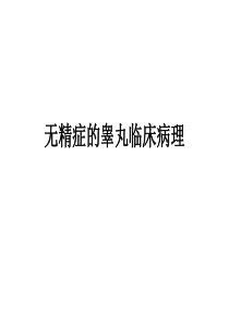 无精症的睾丸病理-(1)