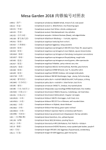 mesa-肉锥种子中英文对照2018
