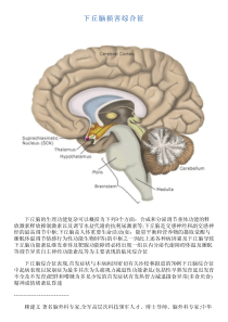 下丘脑损害综合征