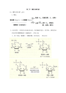 糖的分解代谢