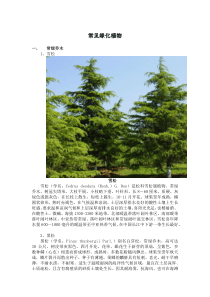 北方常见绿化植物简介(图文)