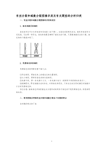 高中生物有丝分裂和减数分裂图解