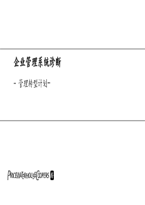 企业管理系统诊断-管理转型计划-