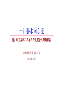 王家河心岛项目开发概念性策划报告