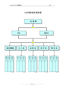 义务消防队组织架构(模板)2014年12月21日