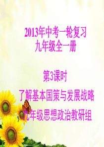 中考政治一轮复习 专题 了解基本国策和发展战略知识要点课件 新人教版